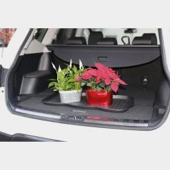 Quest King Of All Trays 10 Quest King Of All Trays -BioLite Shop go 331305 d